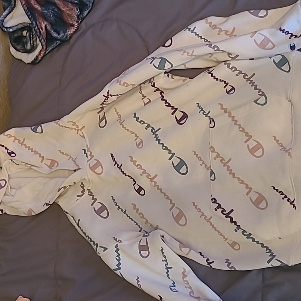 Champion Sweater